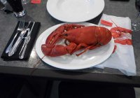 Engineering lobster dinner