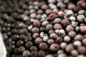 van-Dyk-blueberries