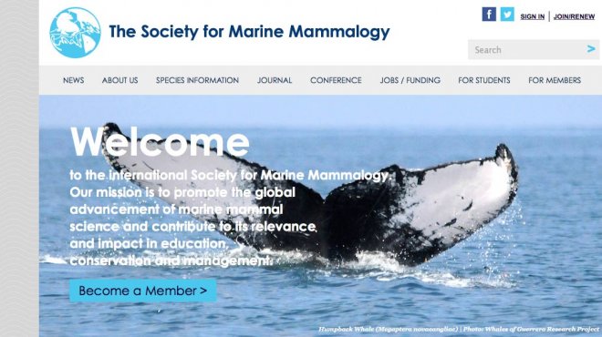 Society for Marine Mammalogy website masthead