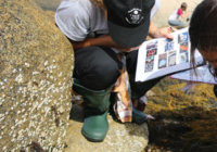 Dalhousie marine biology student, research in the field
