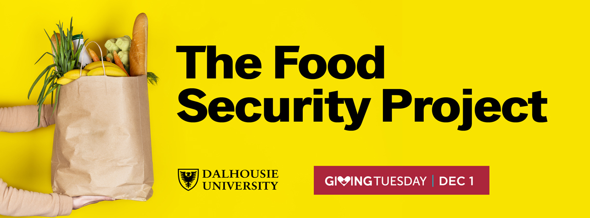 Bag of groceries; The Food Security Project for Giving Tuesday on Dec. 1