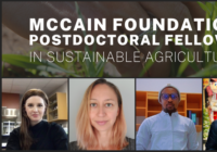 Dalhousie's four new McCain Foundation Postdoctoral Fellows