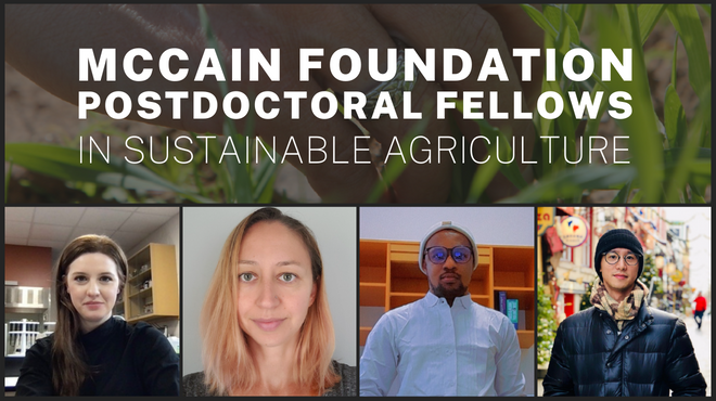 Dalhousie's four new McCain Foundation Postdoctoral Fellows